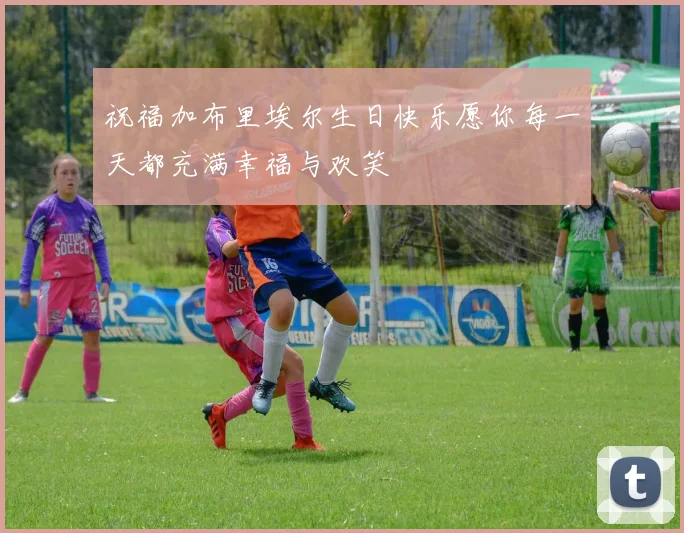 祝福加布里埃尔生日快乐愿你每一天都充满幸福与欢笑